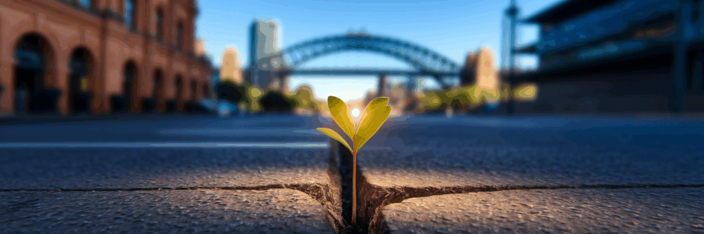 Glowing sapling representing Australian business growth.