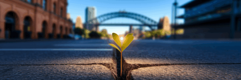 Glowing sapling representing Australian business growth.