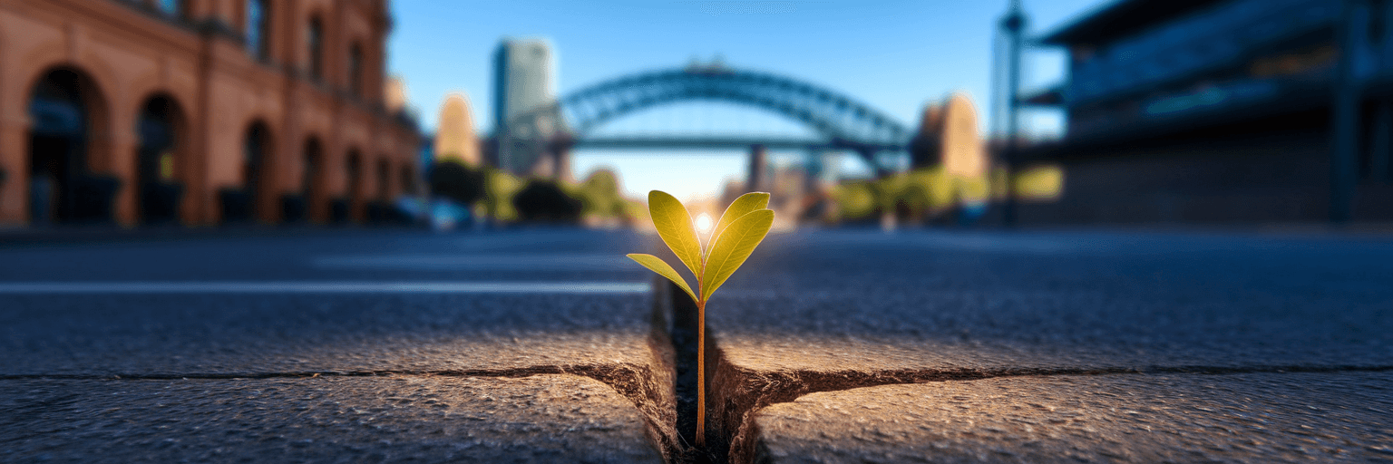 Glowing sapling representing Australian business growth.